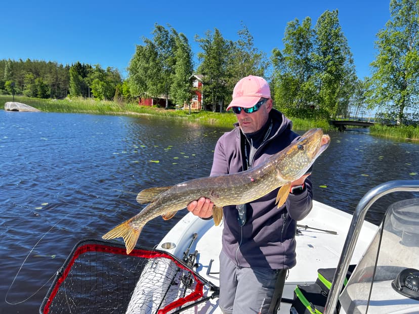 After work fiske – perfekta AW-Aktiviteter i Stockholm