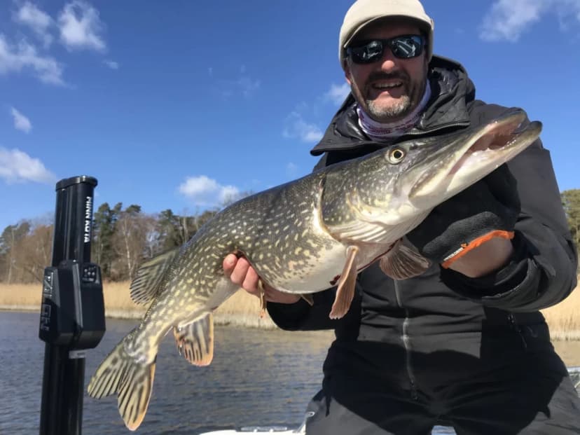 Heldagsfiske med fiskeguide