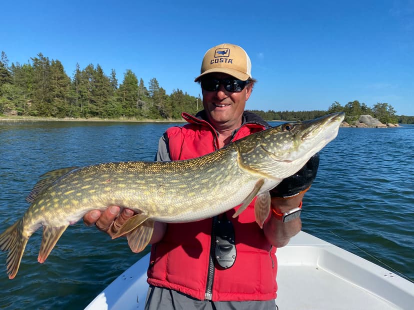 Halvdagsfiske med fiskeguide